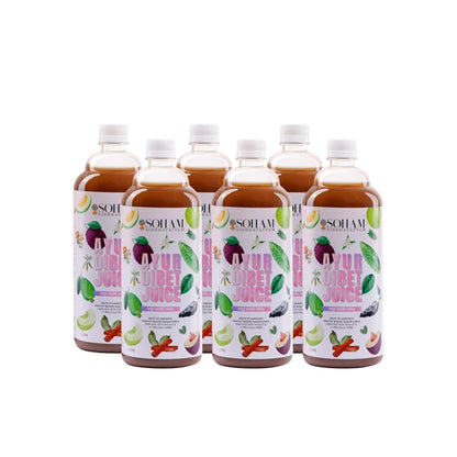 Ayur Dibet Juice